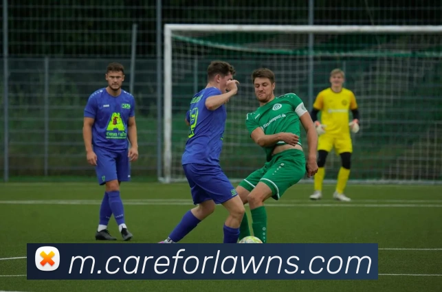 澳门威尼斯在线APP 封面图